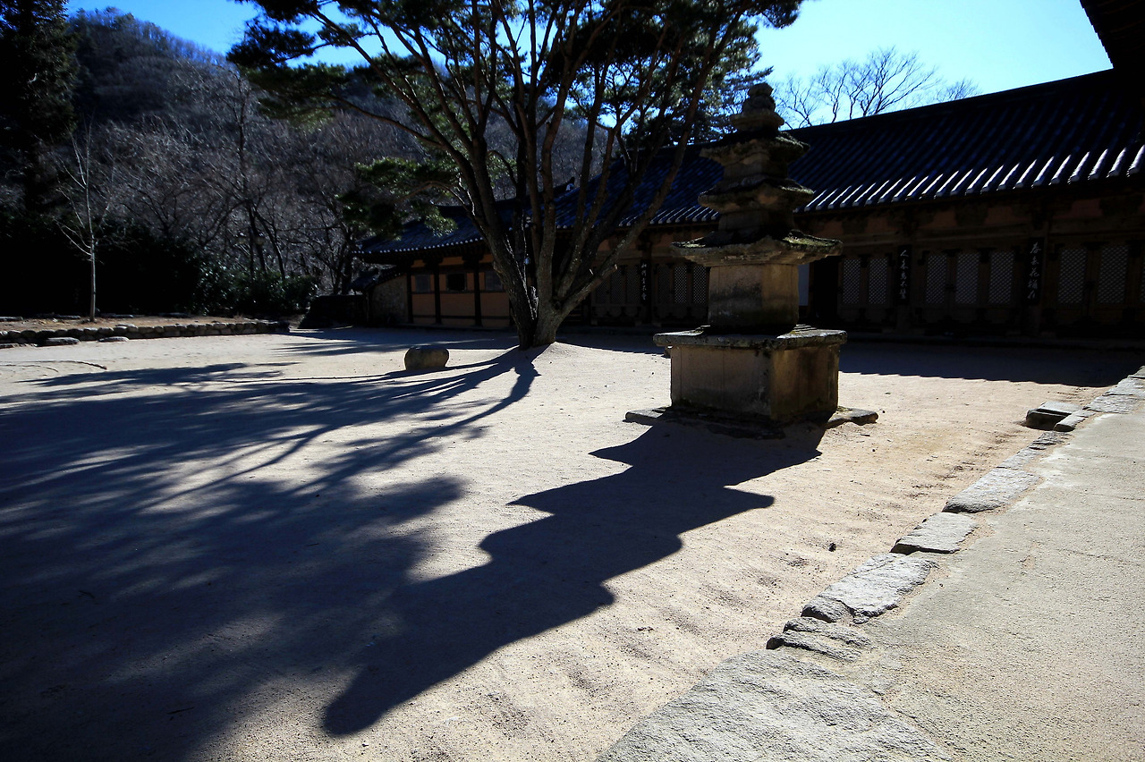 기림사 03 응진전 앞 삼층 석탑.jpg