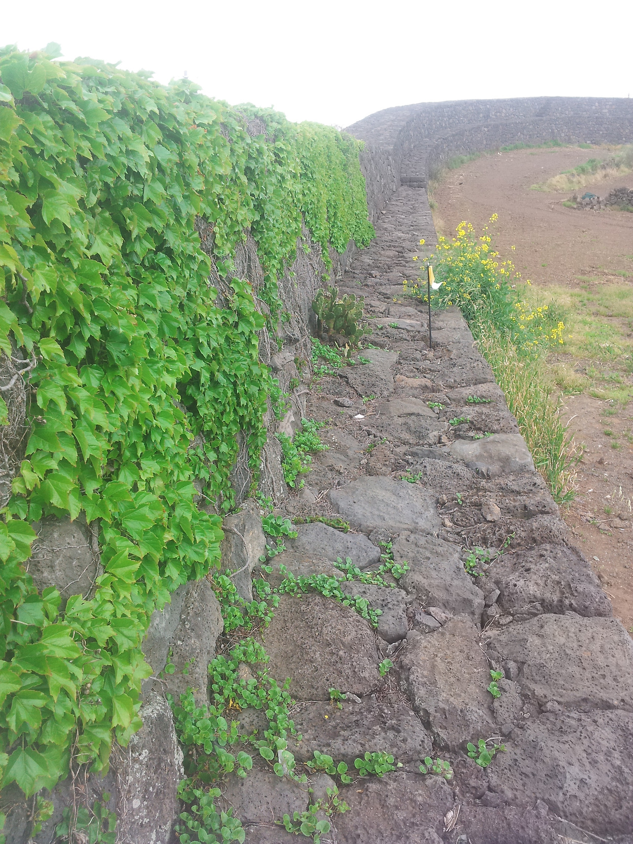 20140426_163527 복사본.jpg