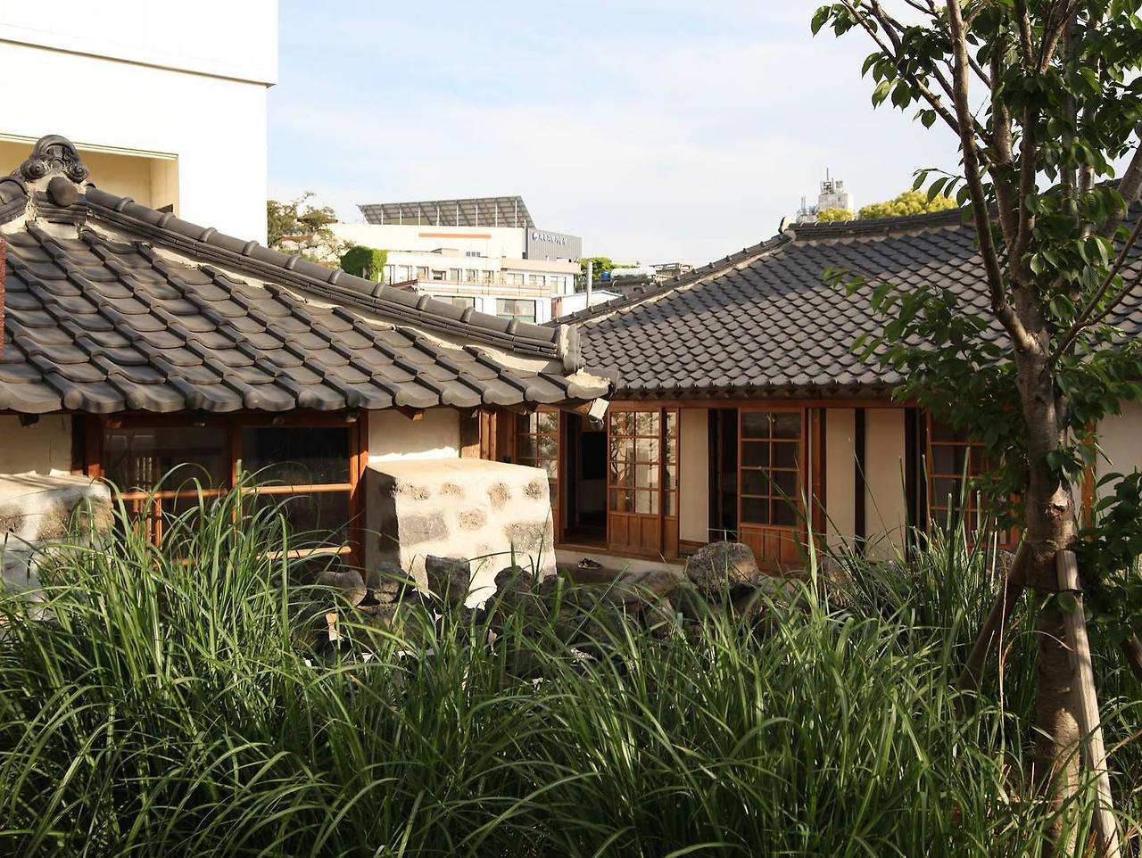 04 산지천 주변 08.jpg