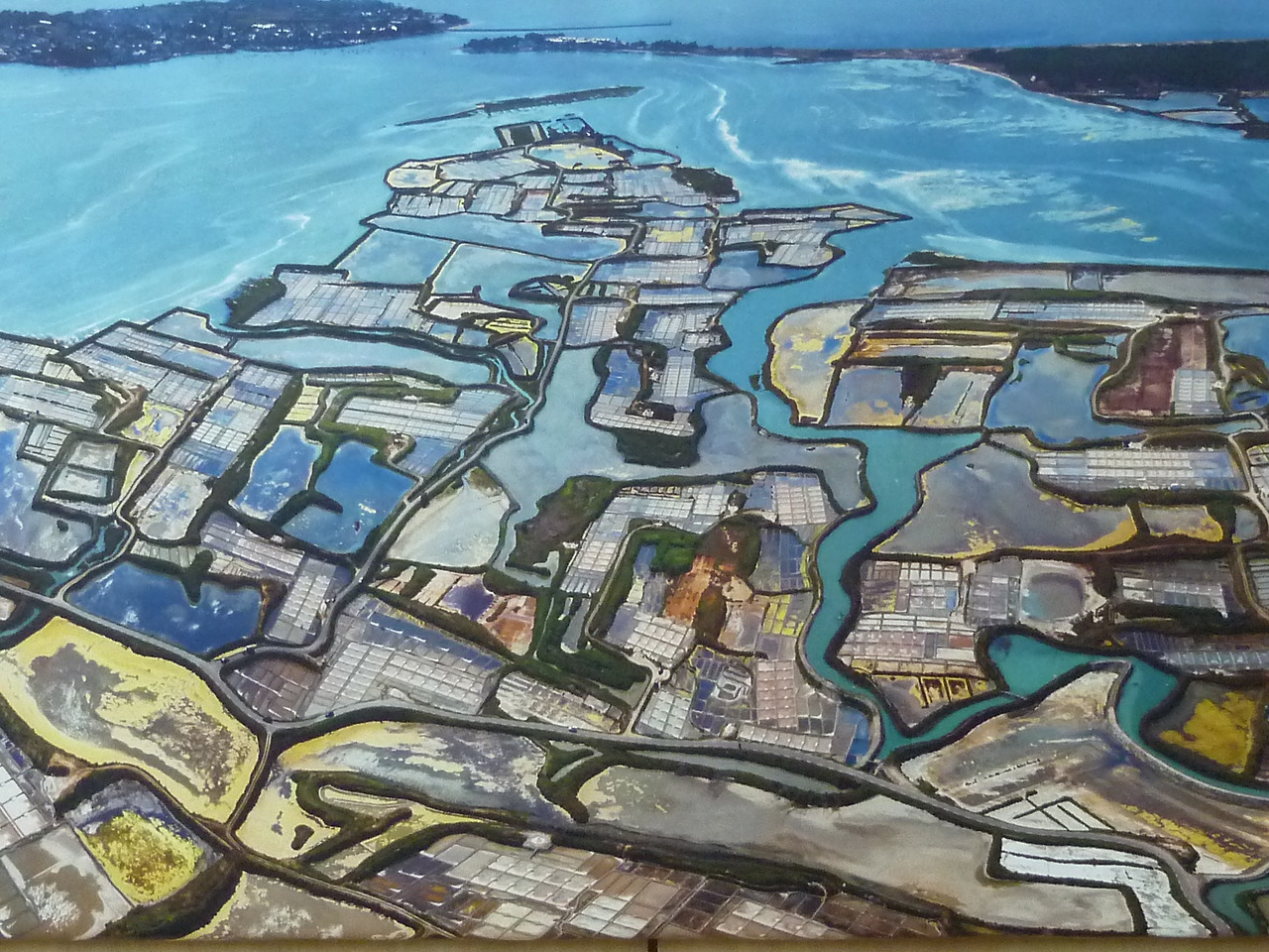 guerande salt 01.jpg