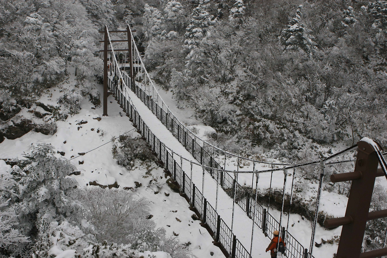 20091121 성판악_관음사 62  용진각다리.jpg