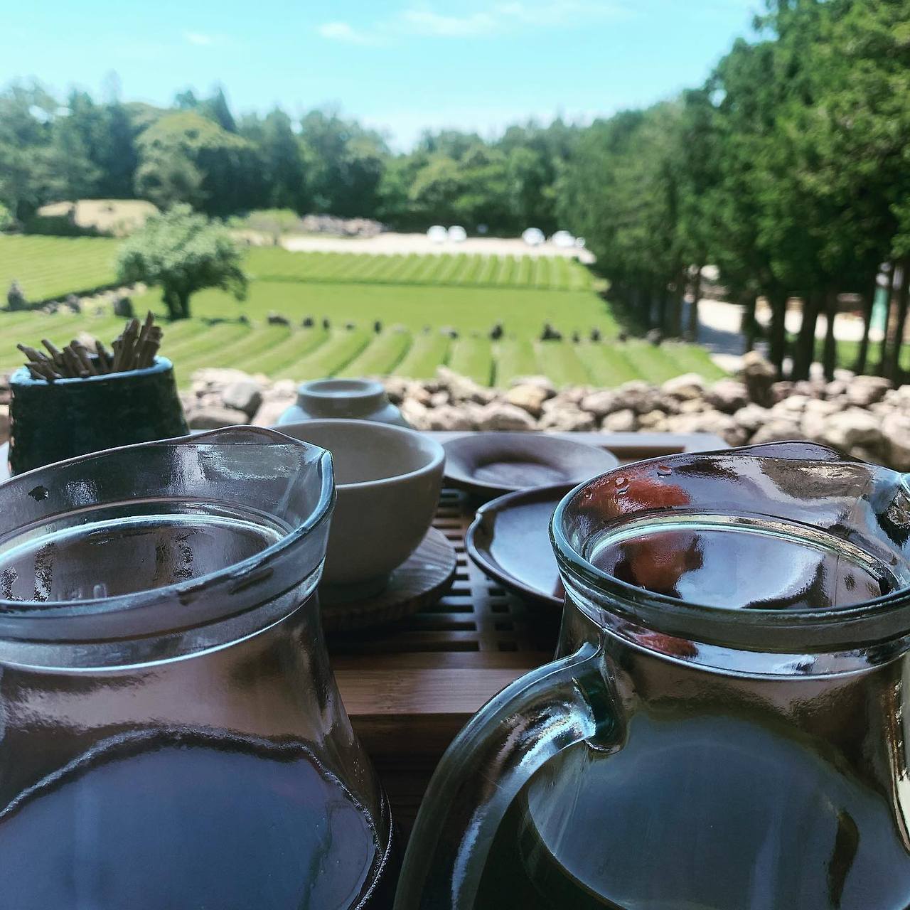 02 서귀다원 11.jpg