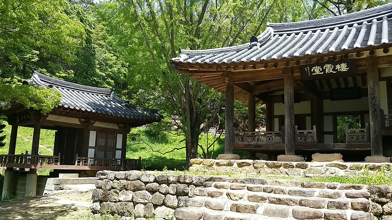 19 서하당 부용정.jpg