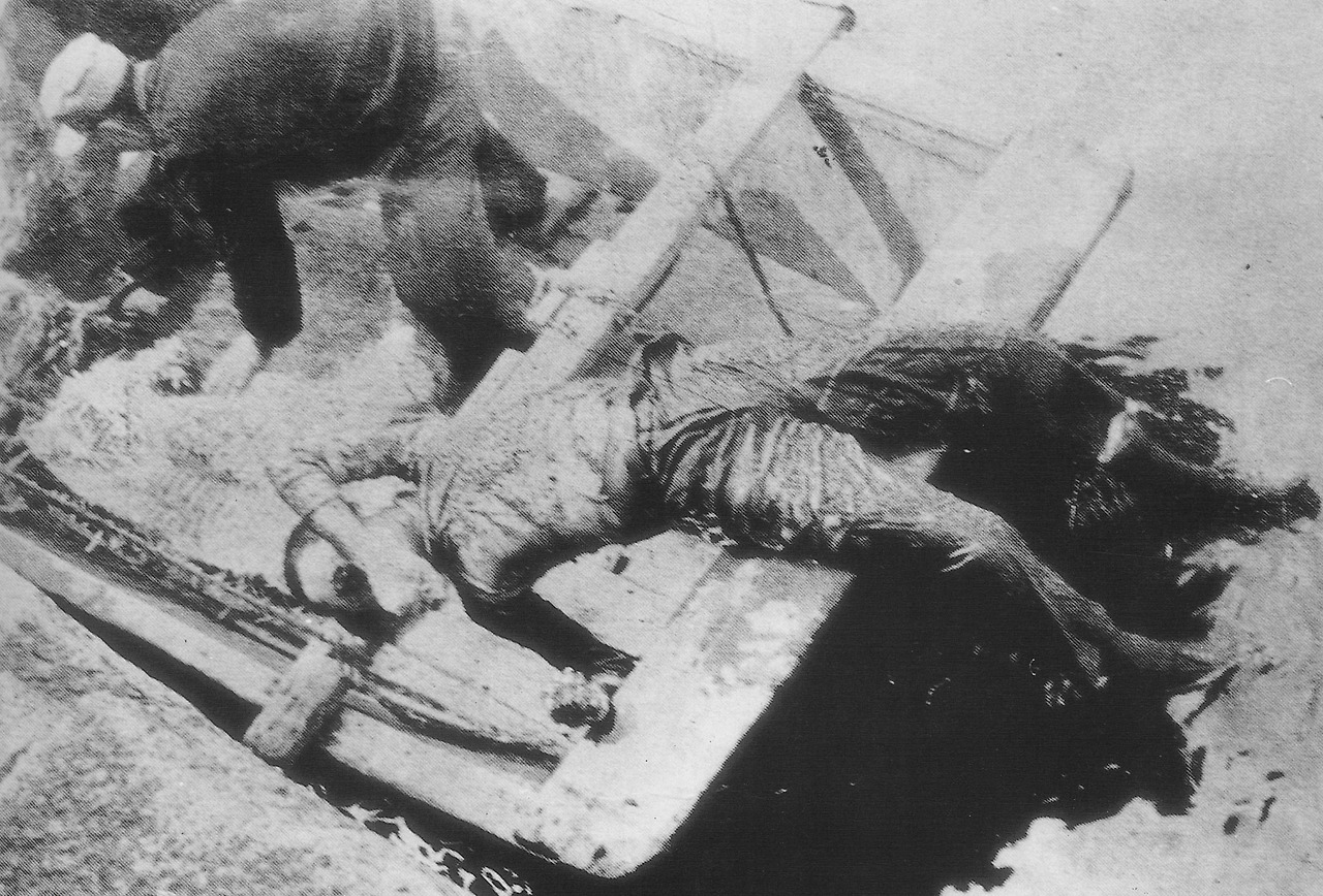 408 바다에서 건져 올려진 김주열의 시신-1.jpg