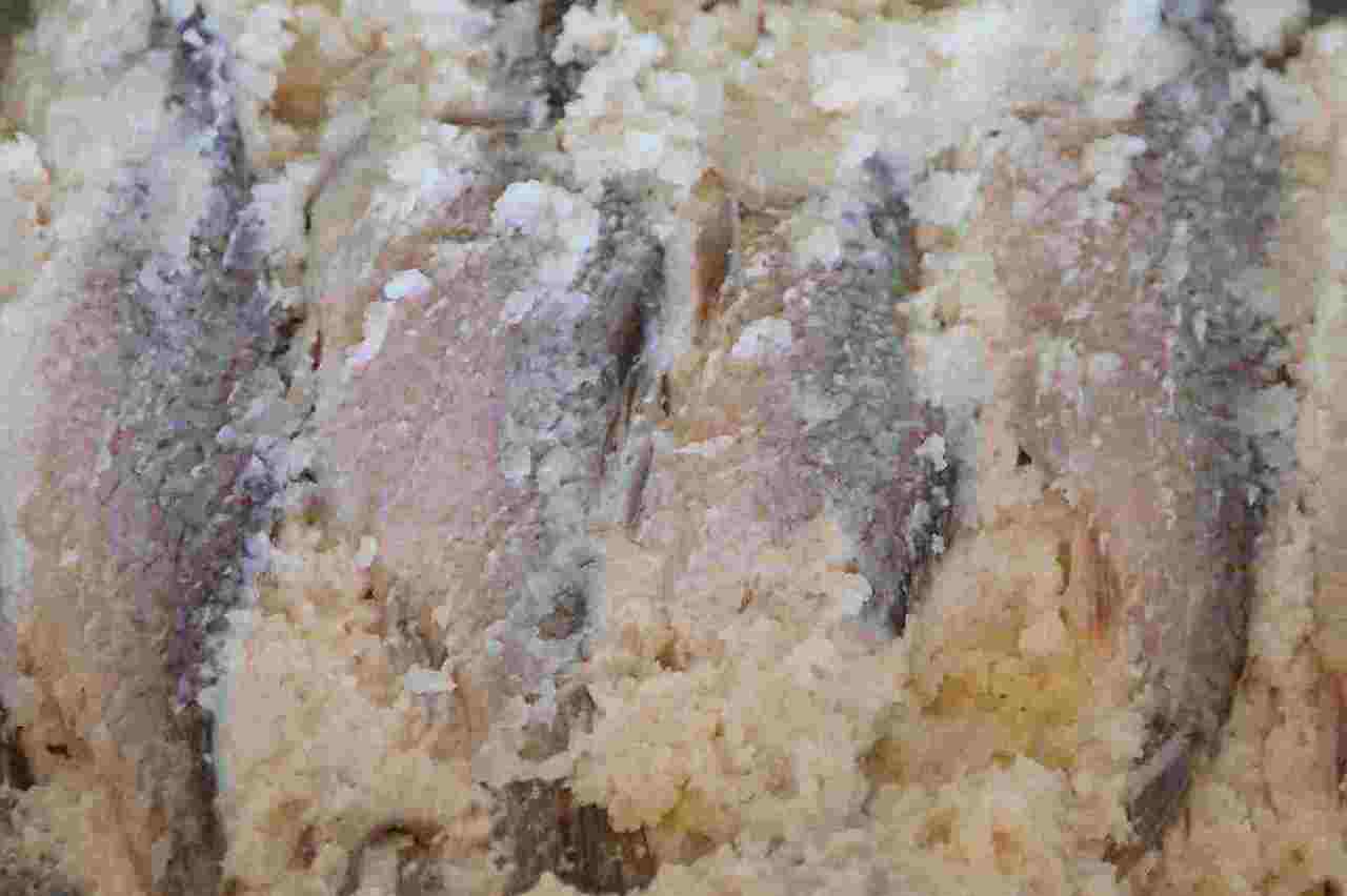 에도마에 07 부나즈시1.jpg