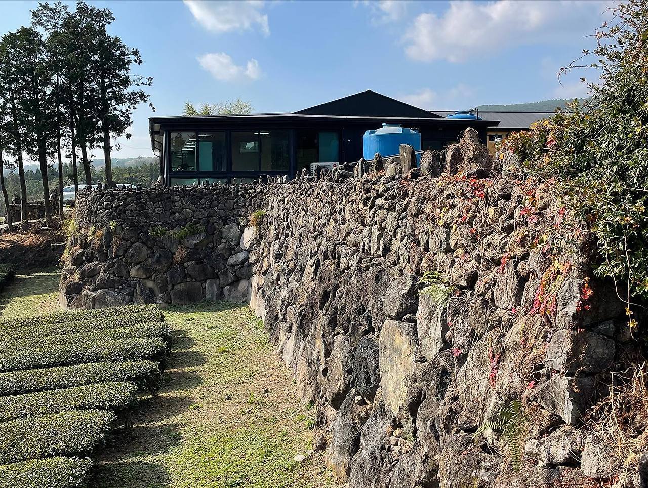 02 서귀다원 03.jpg