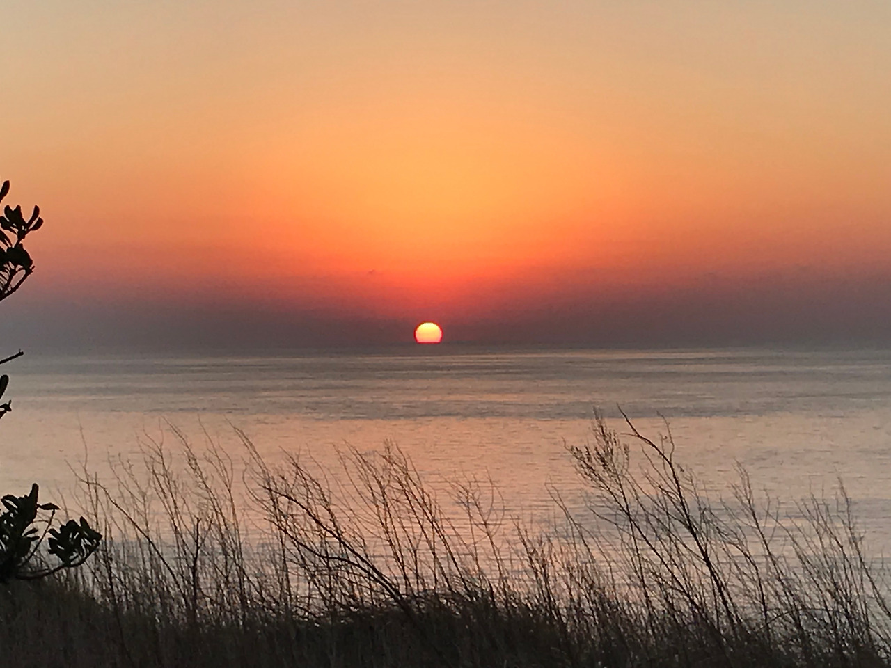 IMG_0728 복사본.jpg