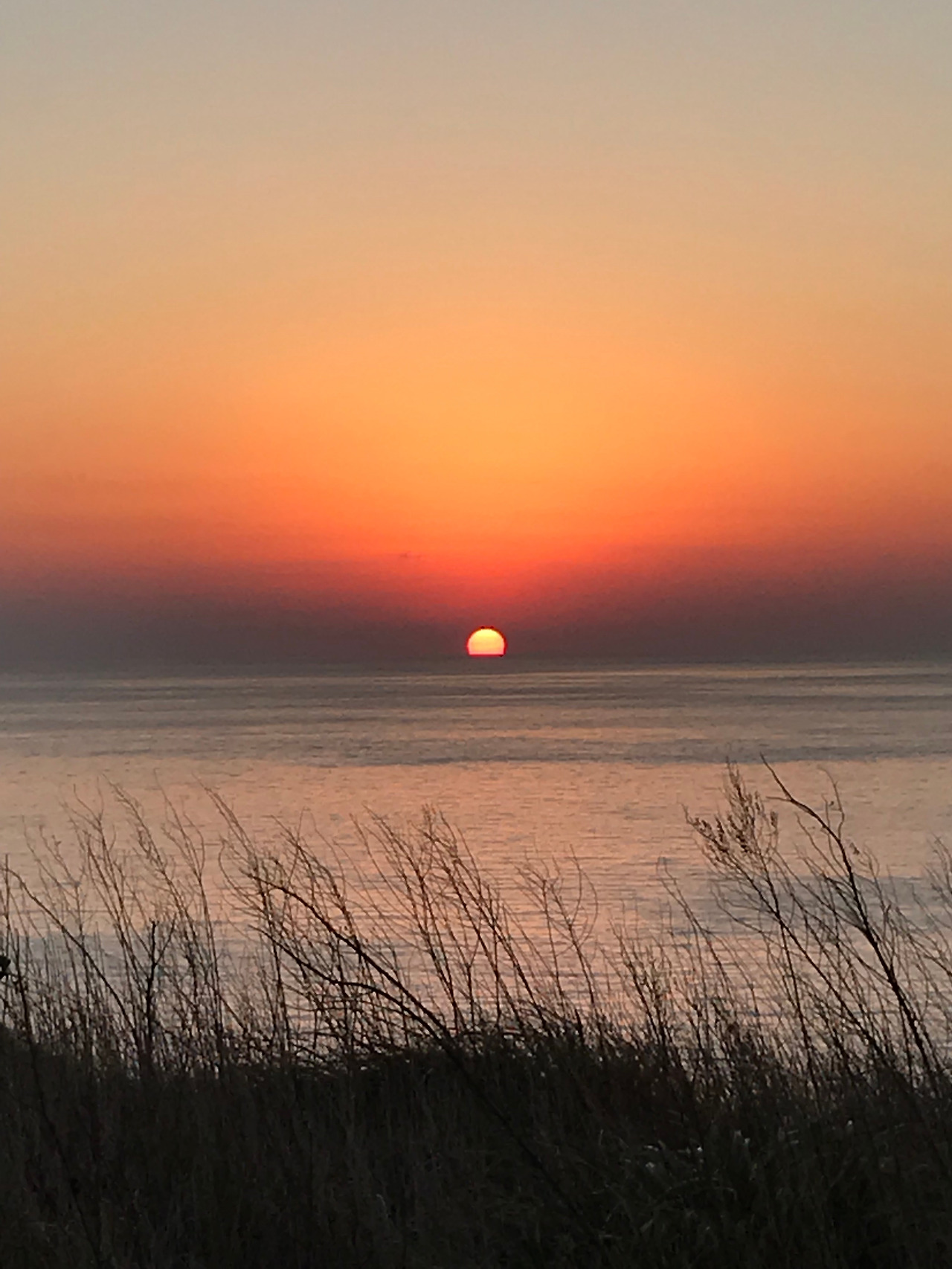 IMG_8155 복사본.jpg