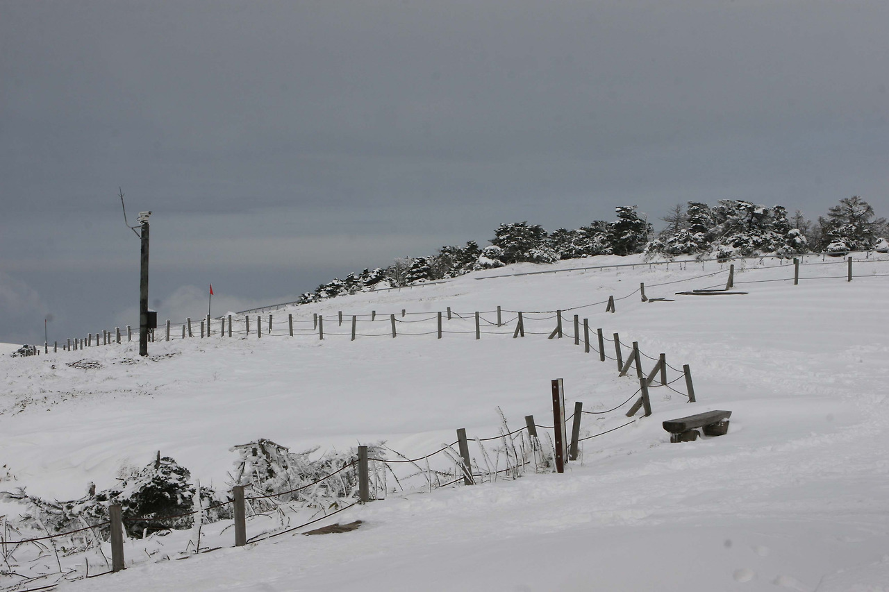 20091120 제주여행028 윗세오름04.jpg