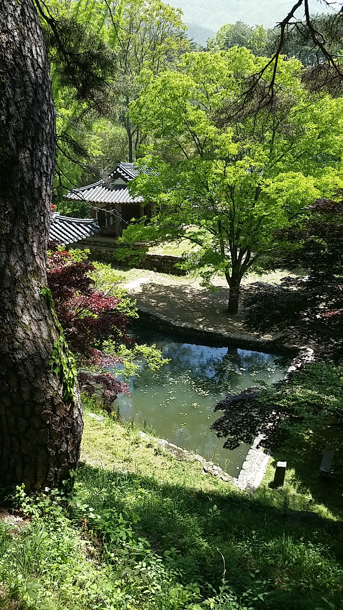 14 부용정 부용지1.jpg