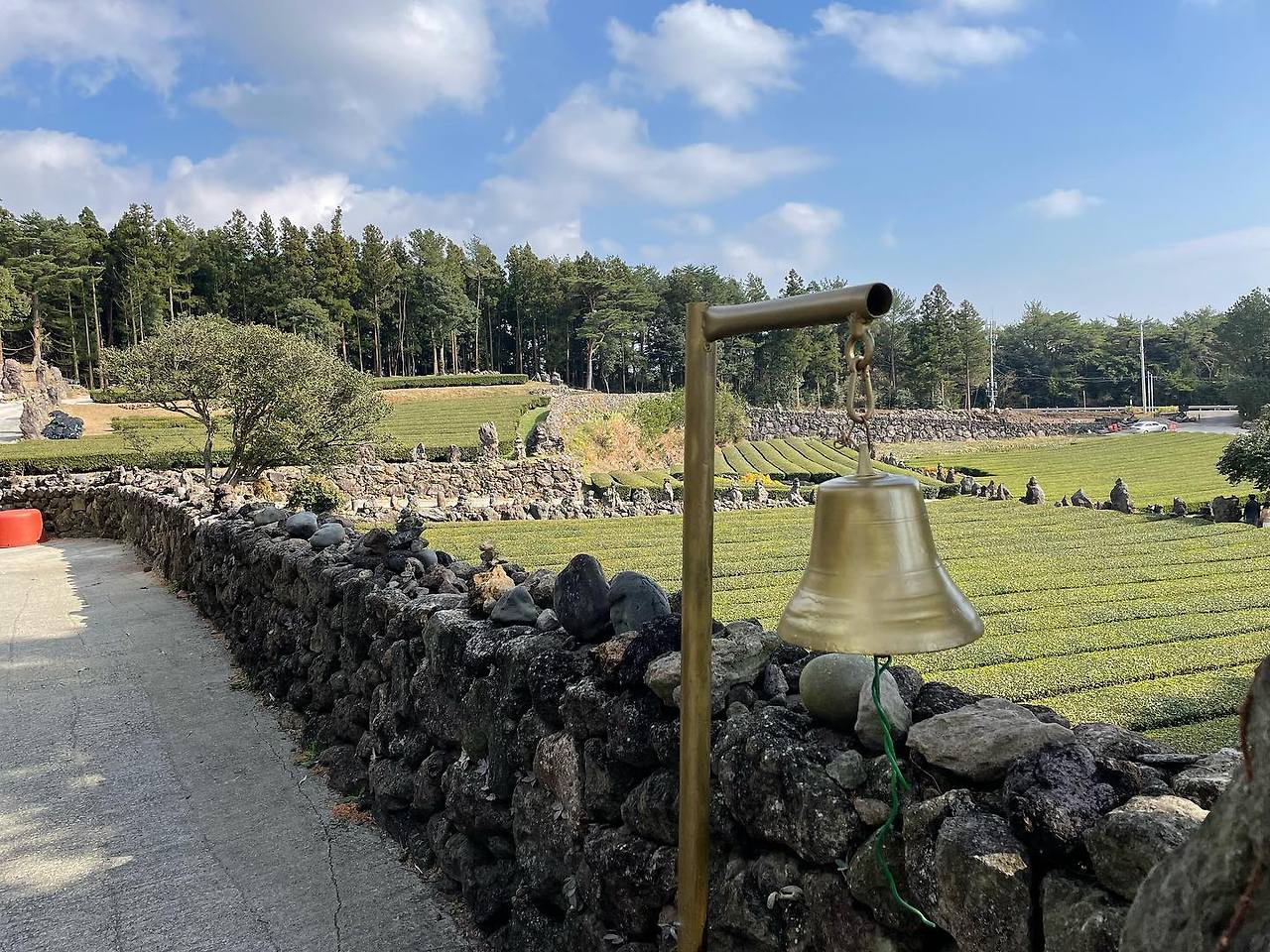 02 서귀다원 05.jpg