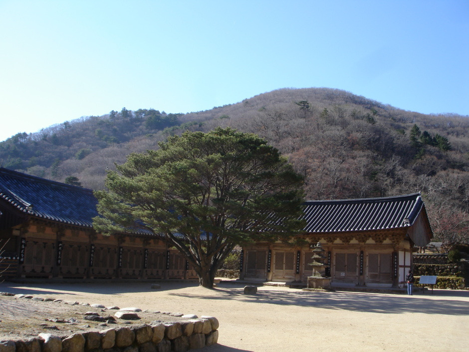 기림사 06 약사전1.jpg