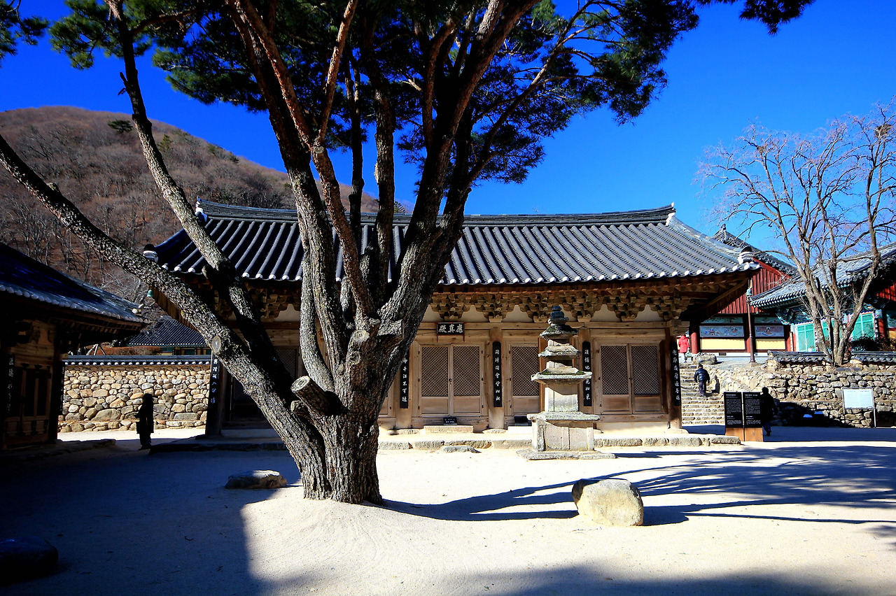 기림사 03 응진전.jpg