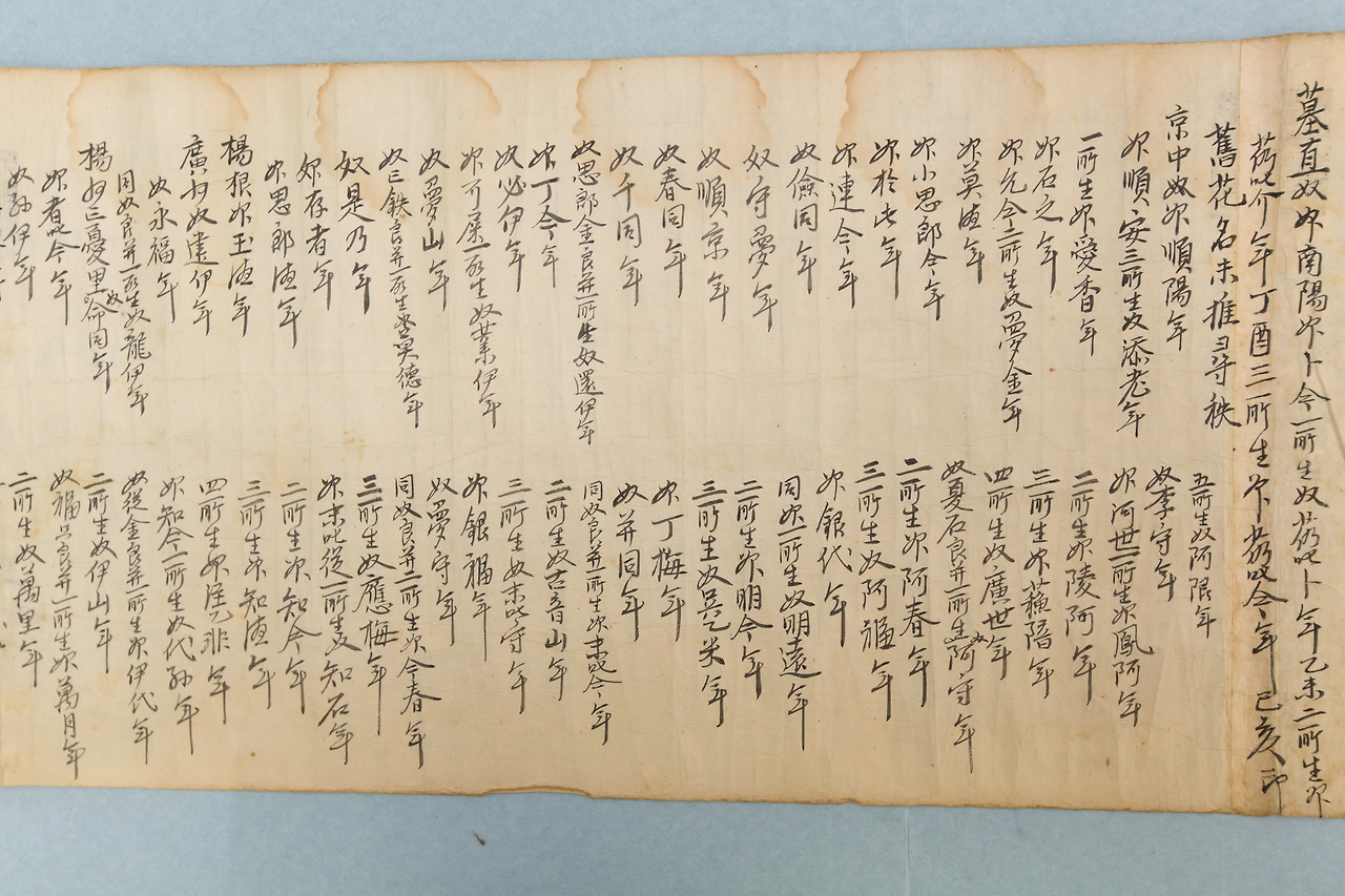 02 노비문서 03.jpg