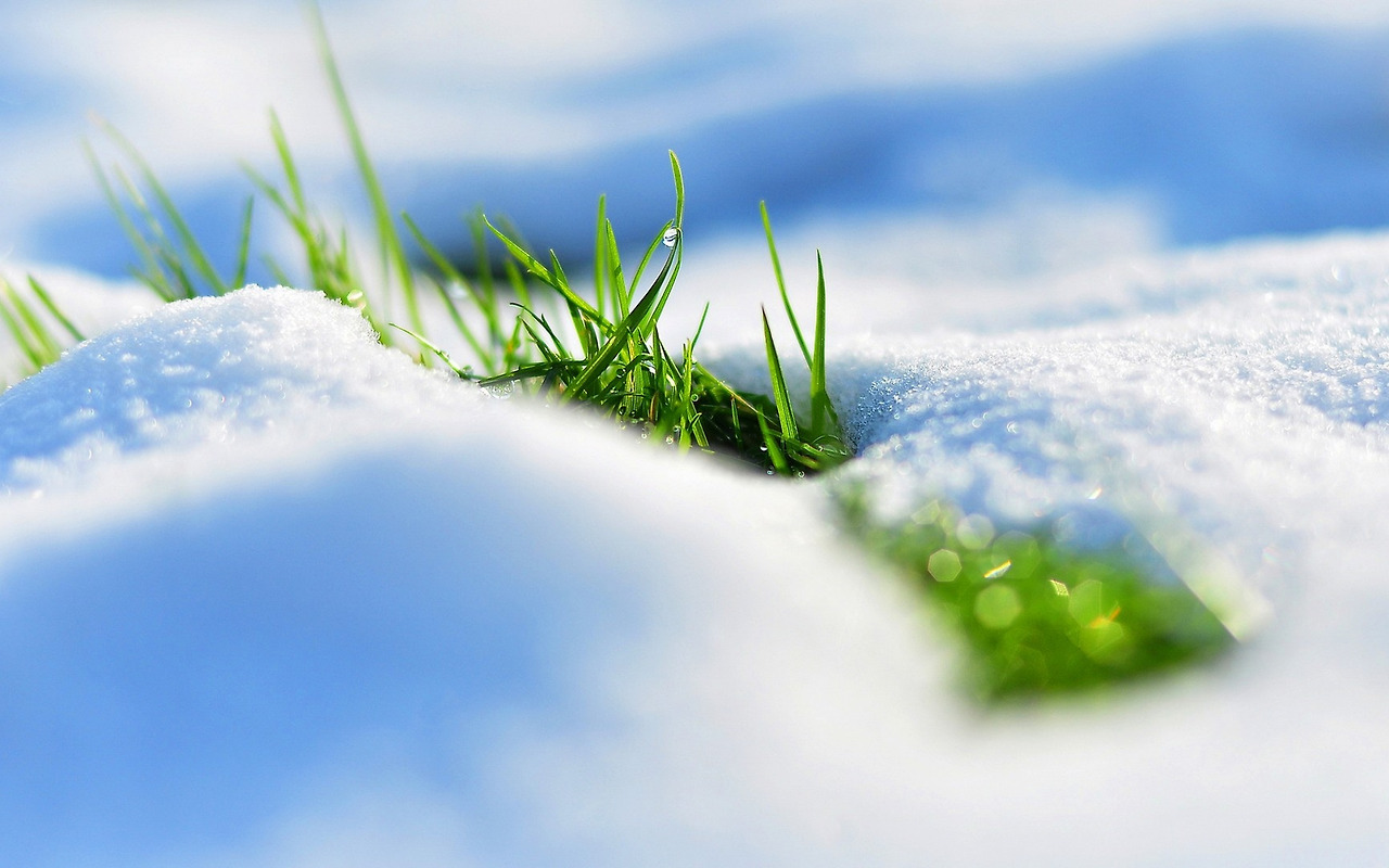 spring_snow_grass_reflections_93174_3840x2400.jpg