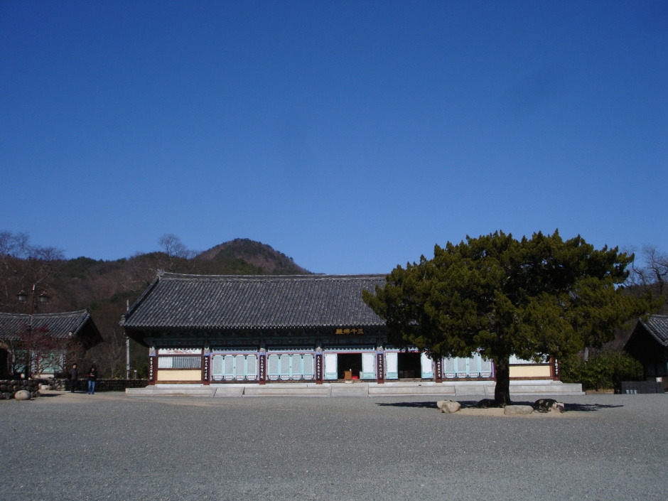 기림사 08 3천불전.jpg