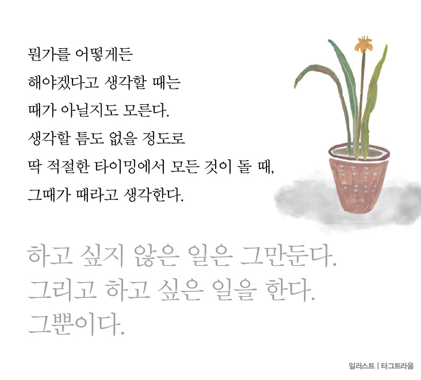 바오_네이버 포스트6.jpg