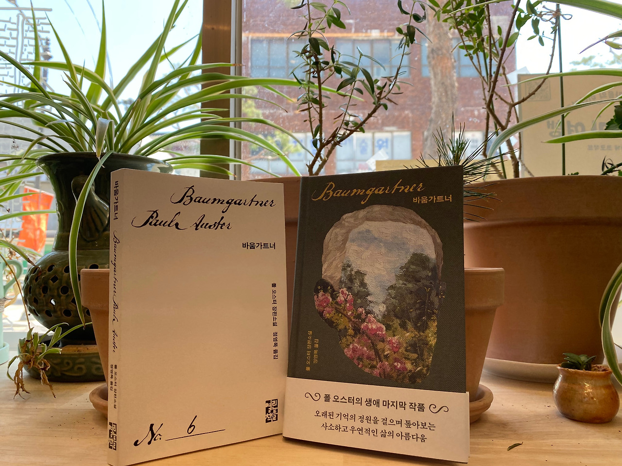 바움가트너 투샷.jpg