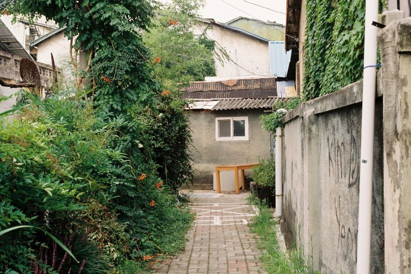 잠자리가 놀다간 골목.jpg