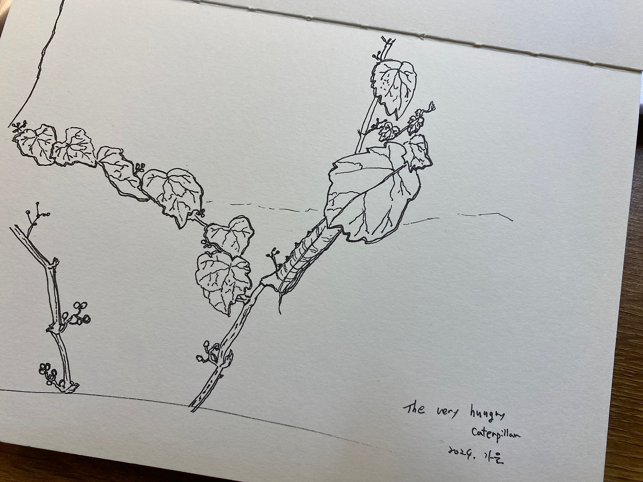 caterpillar.jpg