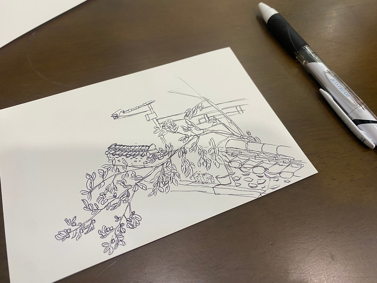 드로잉 감나무.jpg