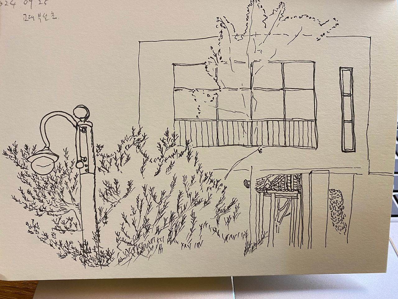 일상그림 교대부설초.jpg