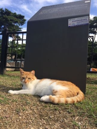 고양이 당간지주.jpg