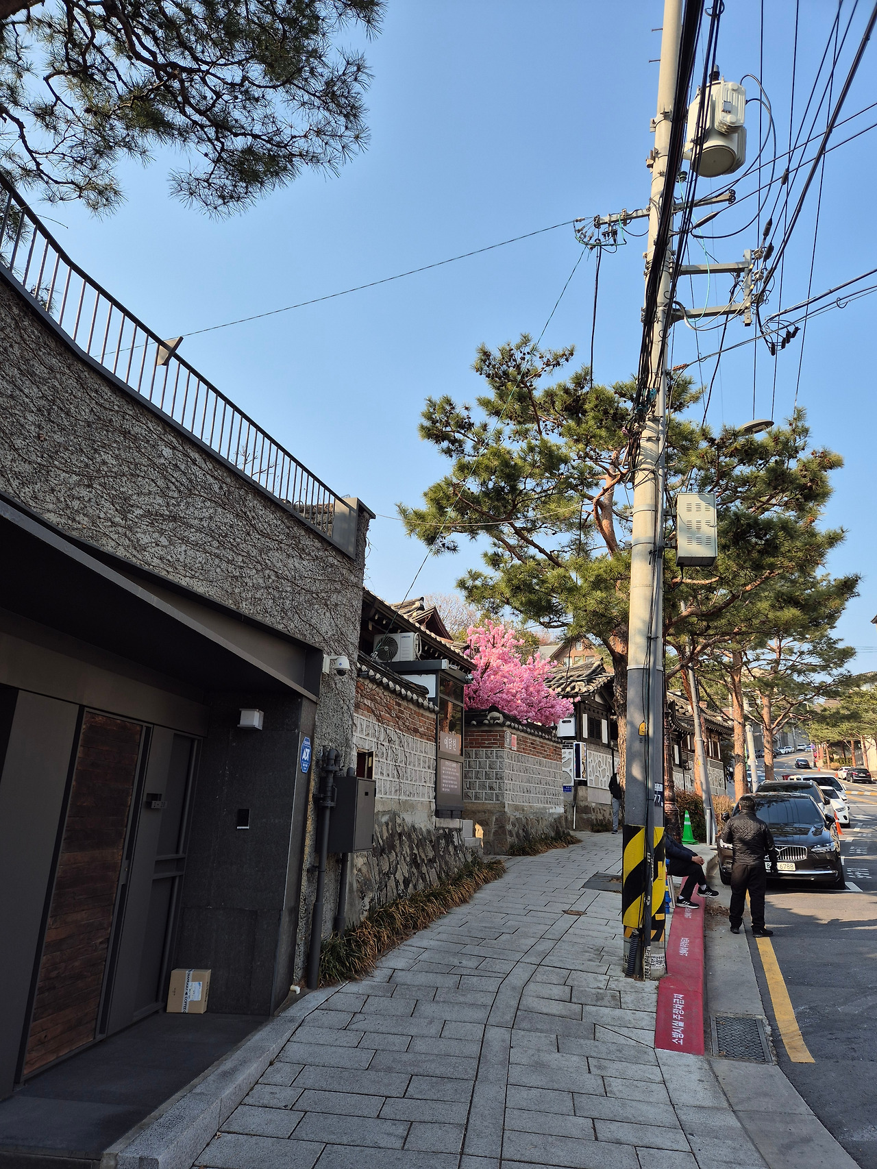 무료 카지노 게임