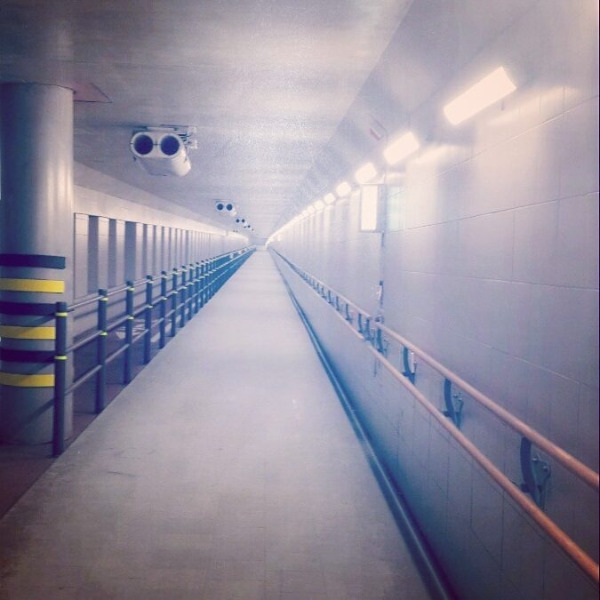 다운로드 (1).jpg