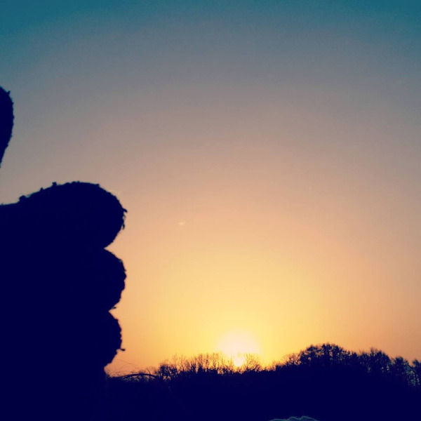 다운로드 (4).jpg