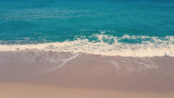 다운로드 (6).jpg