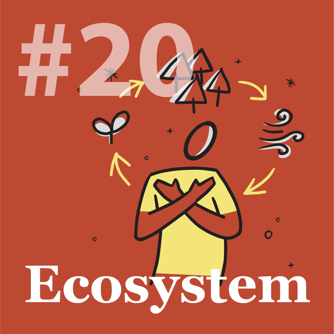Thumbnail-Cover-insta-20-Ecosystem.jpg