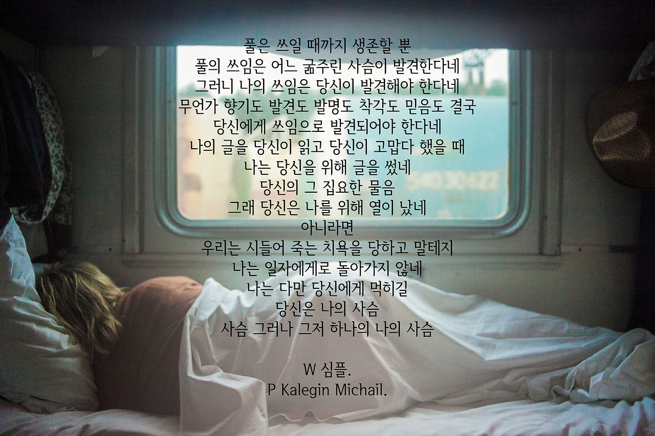 ffustacax0e-kalegin-michail copy.jpg