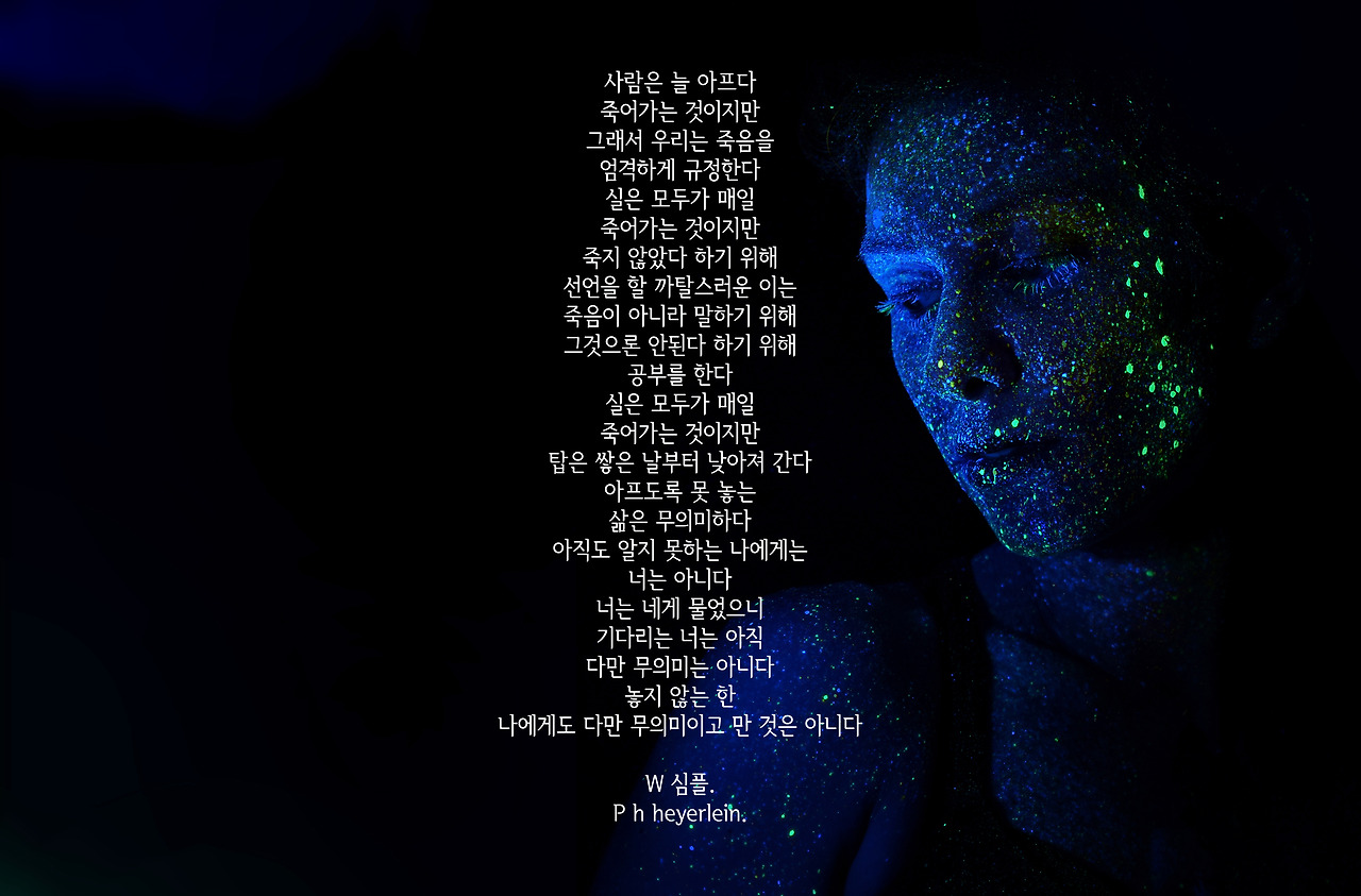 h-heyerlein-199082 copy.jpg