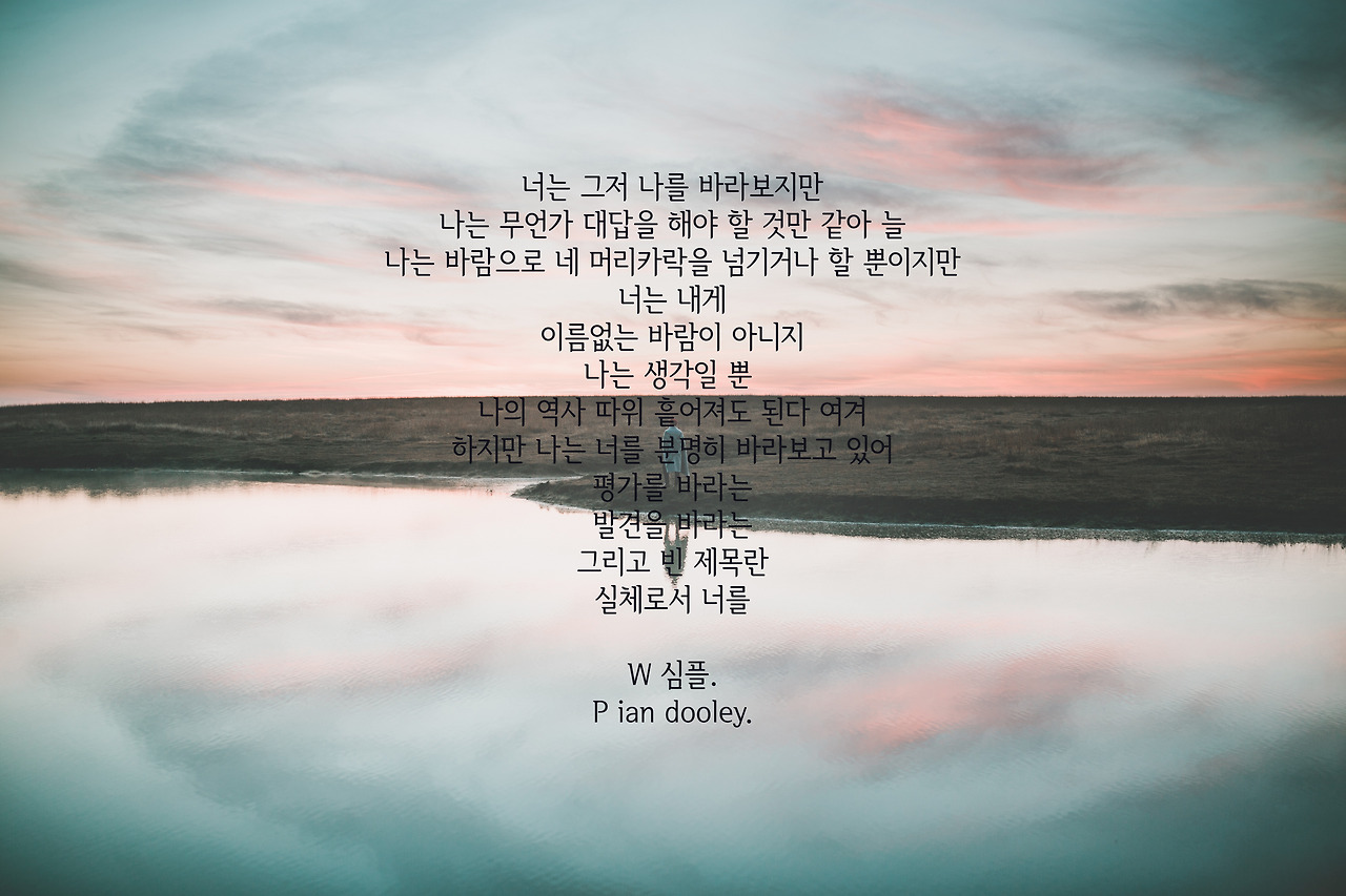 ian-dooley-294874 copy.jpg