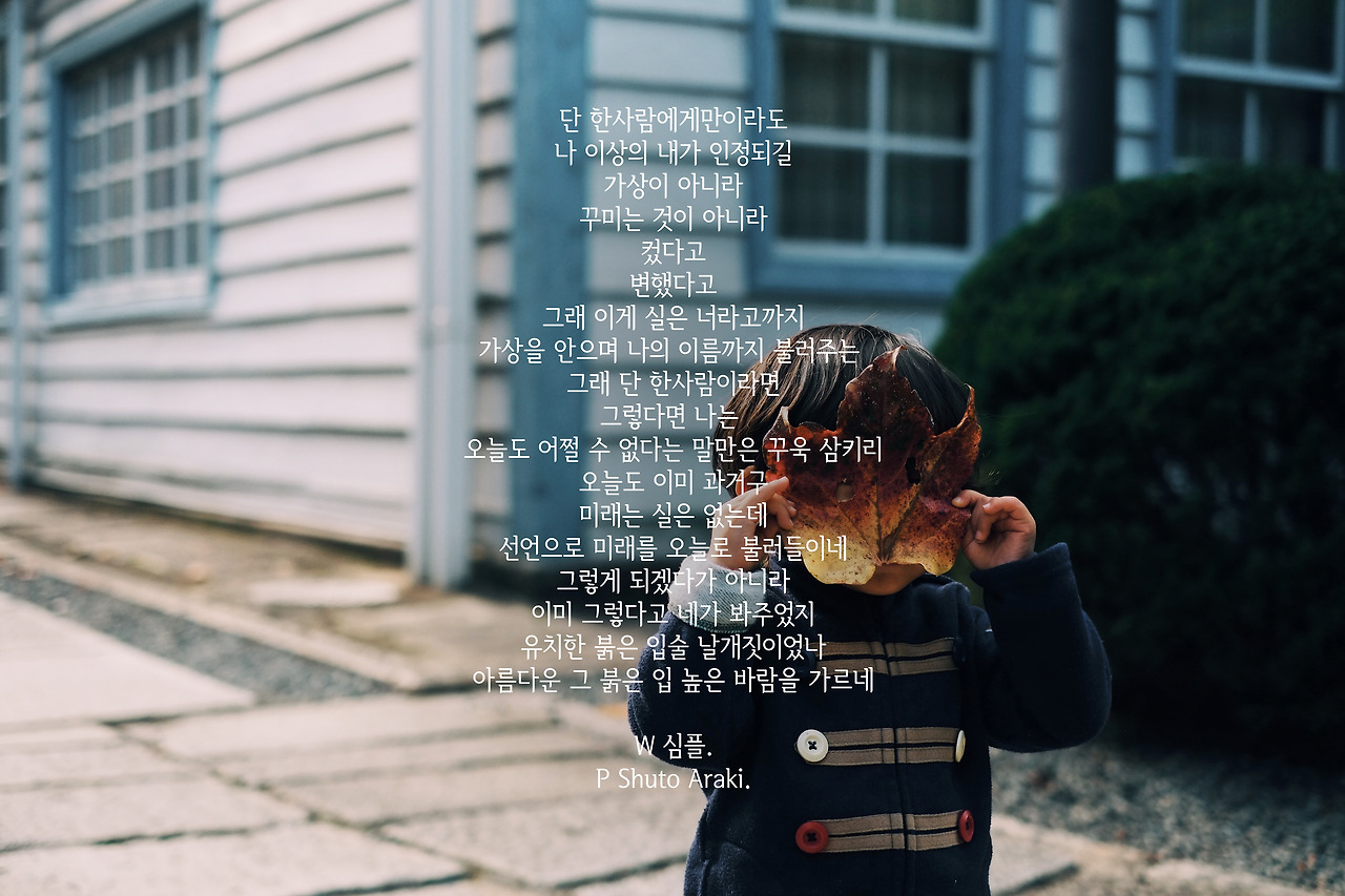 shuto-araki-279766 copy.jpg