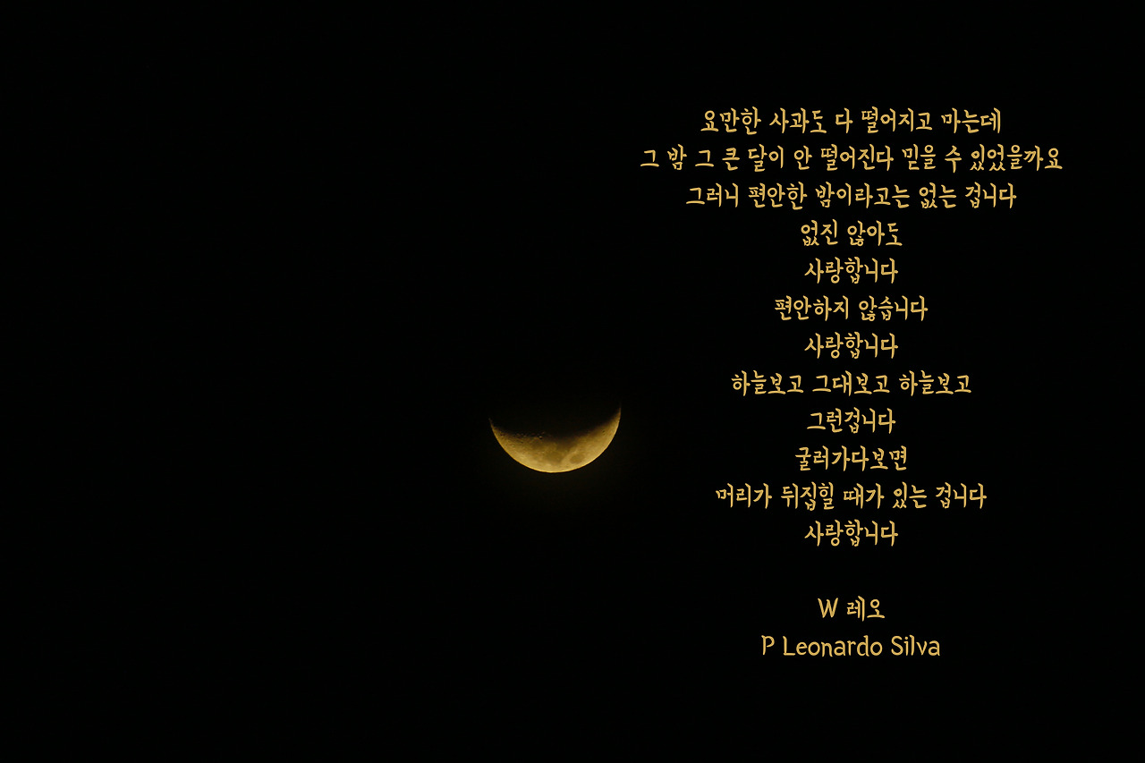 leonardo-silva-676197-unsplash copy.jpg