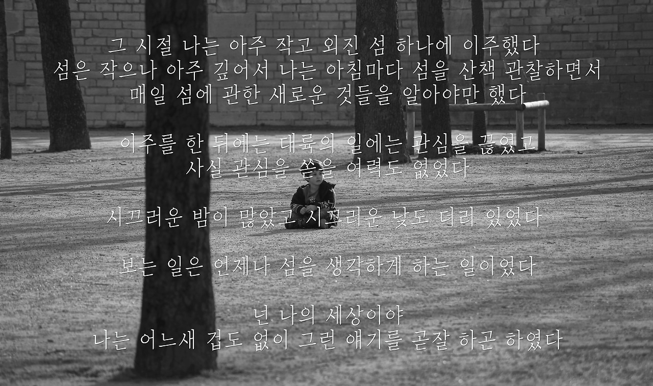 12594696485_d16bcef911_o copy.jpg