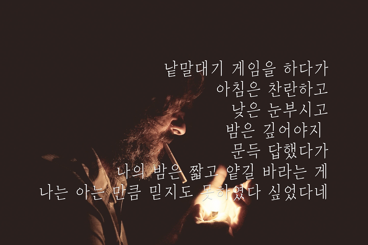 pexels-photo-27232 copy.jpg