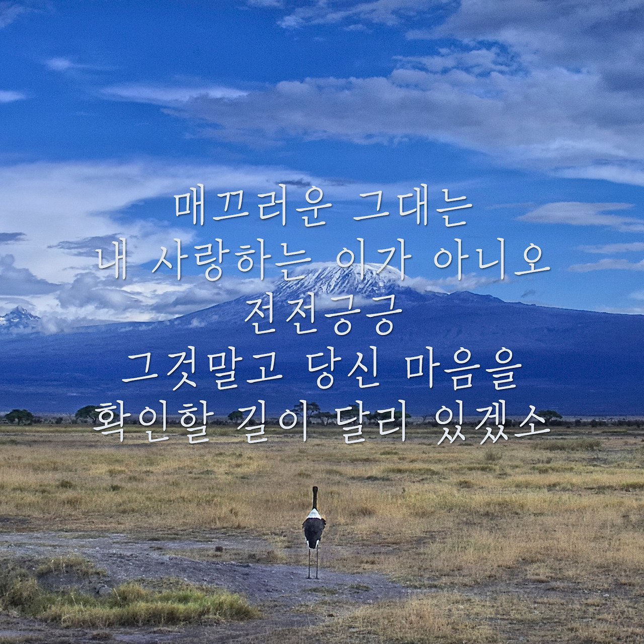 16339722411_0ca343c5db_o copy.jpg