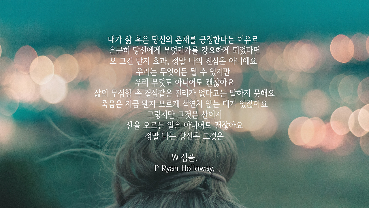 ryan-holloway-272946 copy.jpg