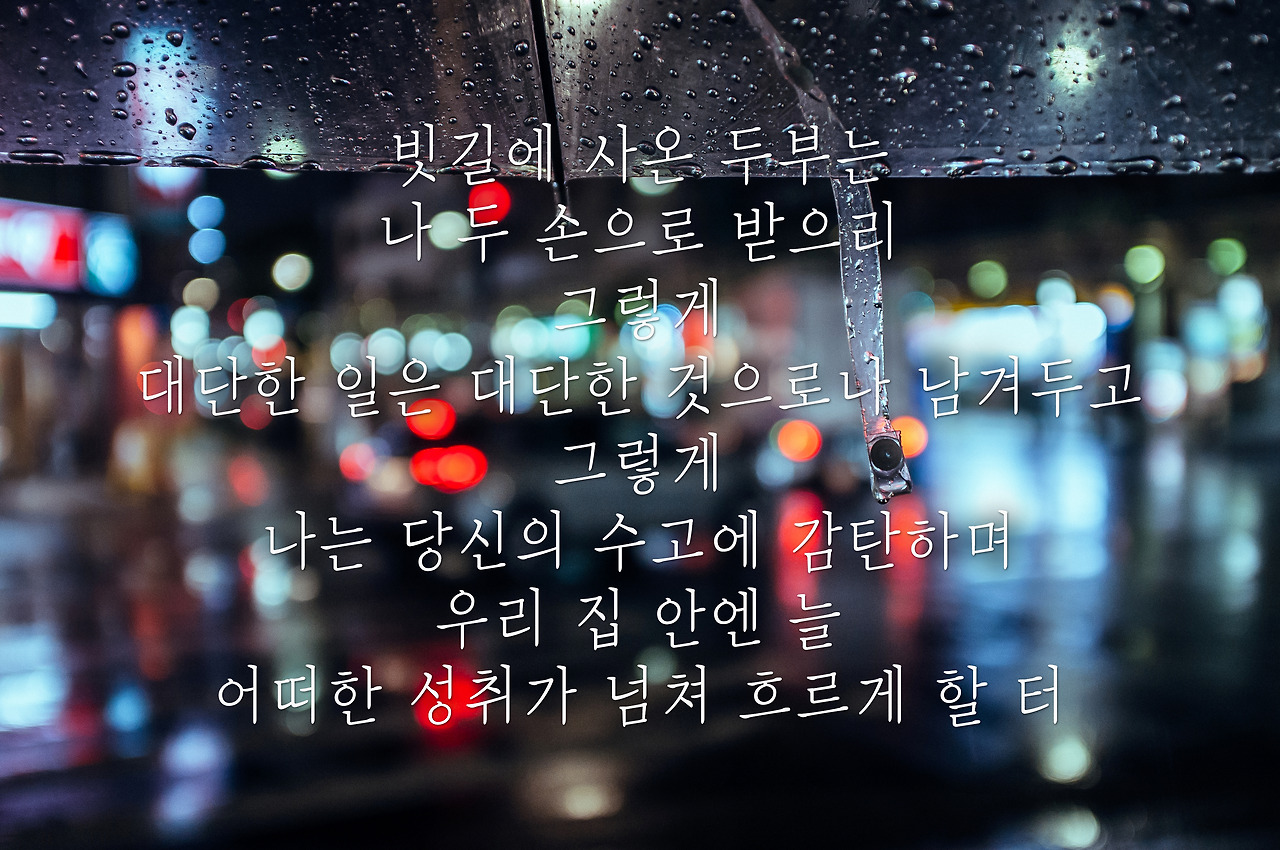 13603762484_ee166bc4e0_o copy.jpg