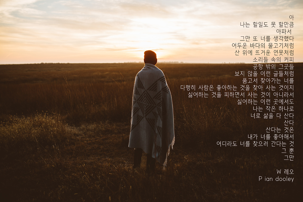 ian-dooley-294881-unsplash copy copy.jpg