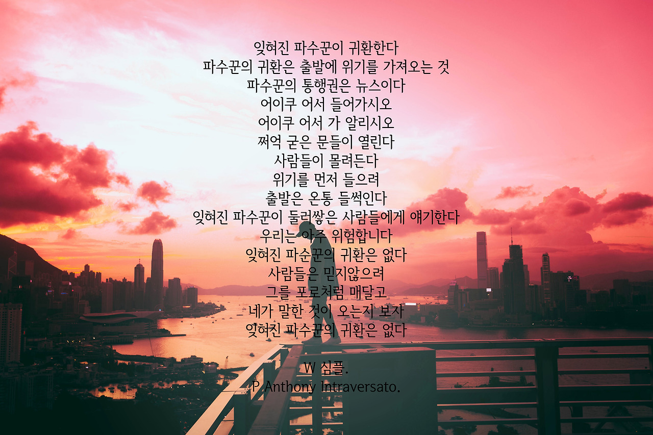 anthony-intraversato-257182 copy.jpg