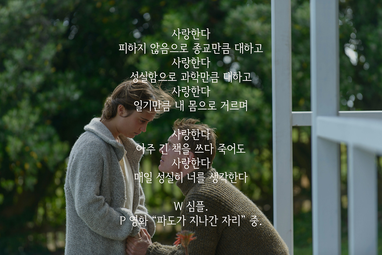 photos_10336_1475827073_e5586ab0f6ebe7a7a3457b380c00cbda copy.jpg