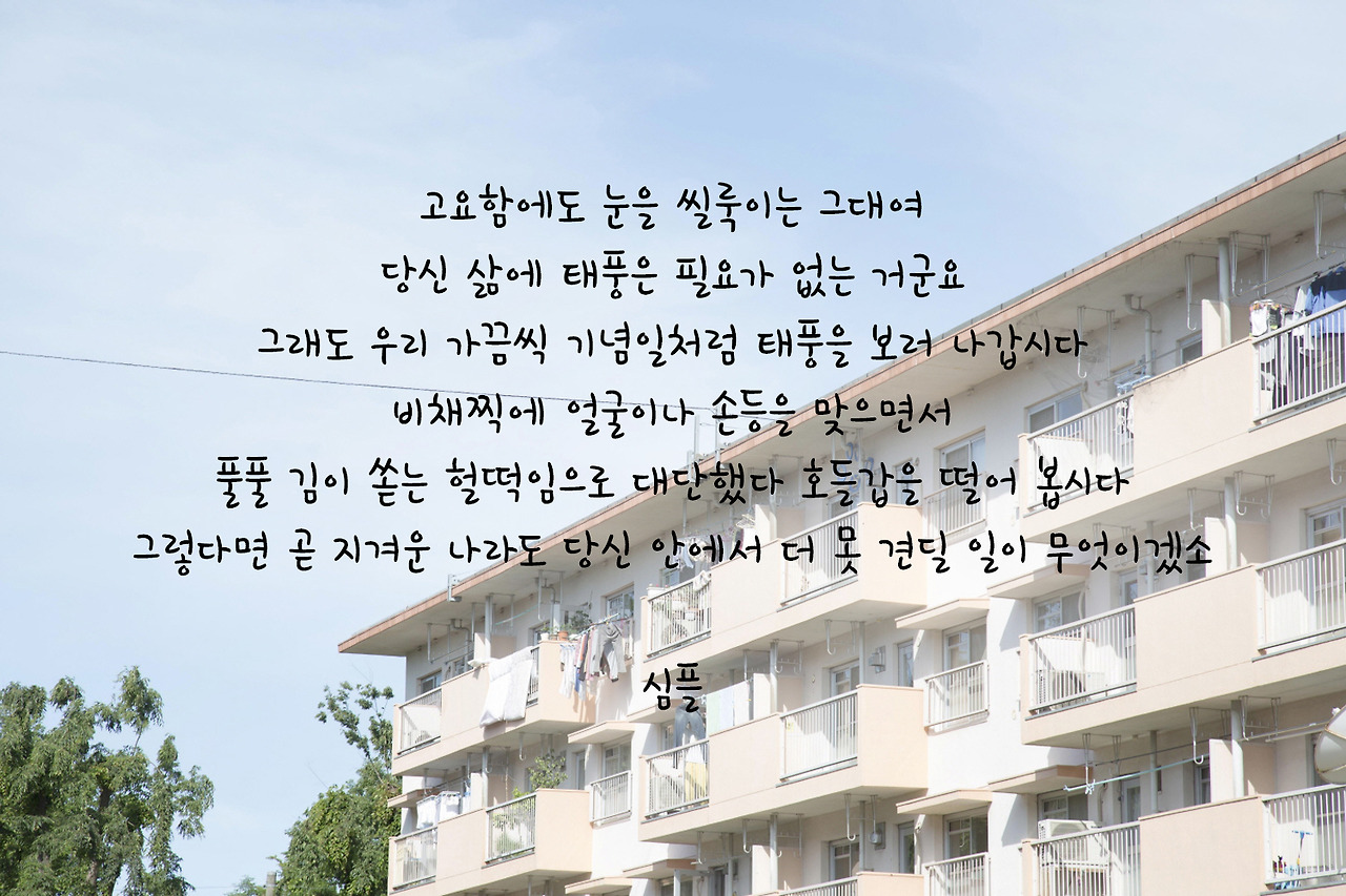 movie_image (1) copy.jpg