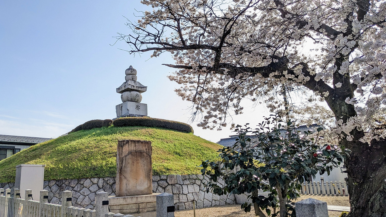 Ear_mound_side_By Epachamo - Own work, CC BY-SA 4.0.jpg