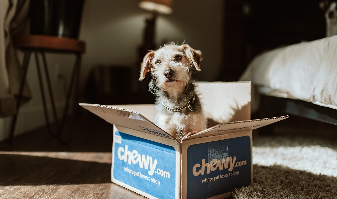 chewy-CMOP2QZ1bWg-unsplash.jpg