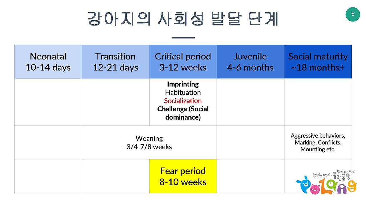 강아지 사회성 발달 단계 폴랑폴랑.jpg