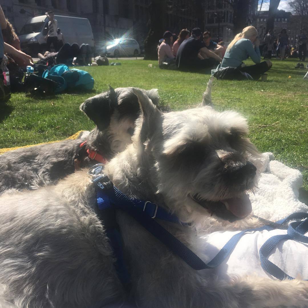 Cherrycoke my girl (6).jpg